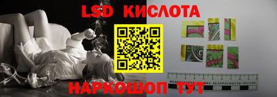 шишки Новодвинск