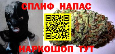 шишки Новодвинск