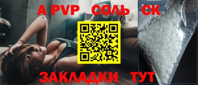 шишки Новодвинск