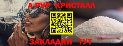 шишки Новодвинск