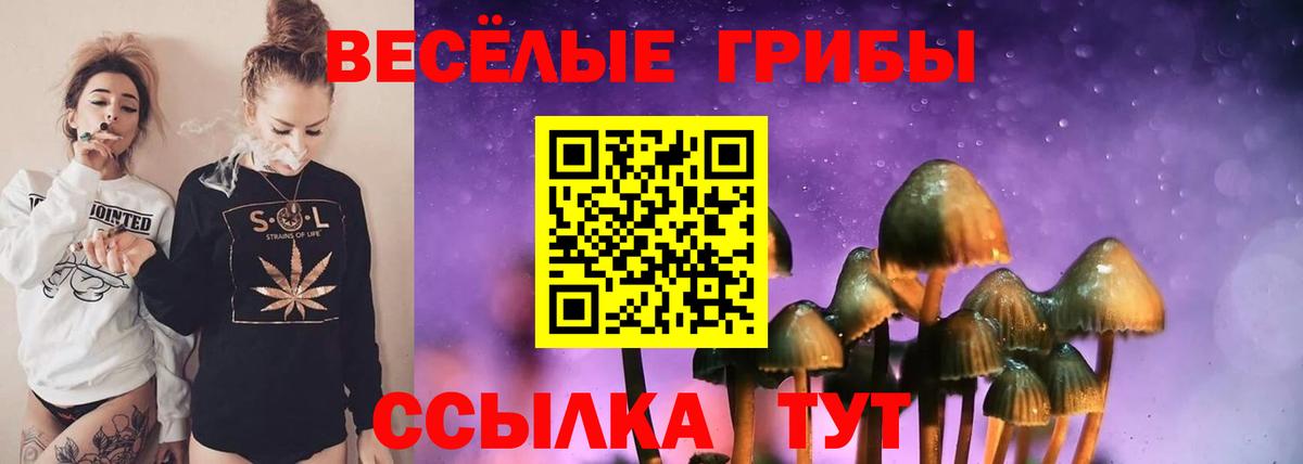 Псилоцибиновые грибы Psilocybine cubensis Советский