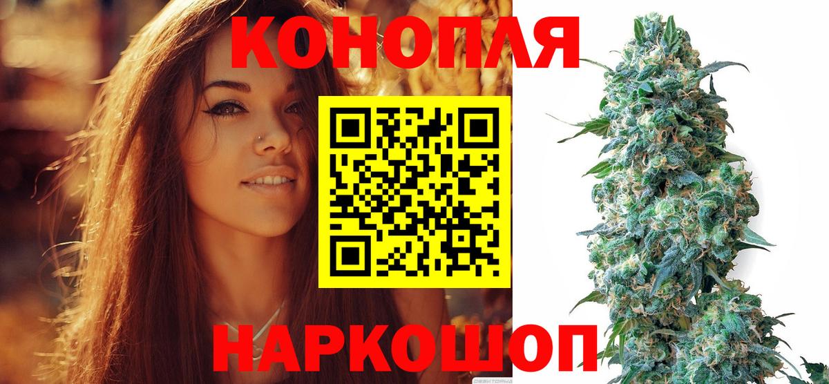 Советский  Канабис SATIVA & INDICA  Конопля семена  Вход с VPN 
